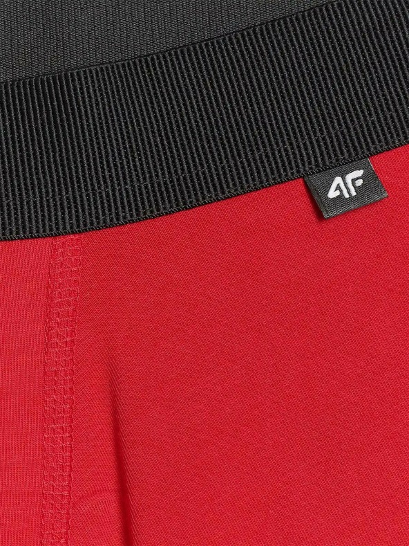 4F Pánske boxerky 4F (2pack)