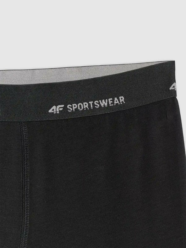 4F Pánske boxerky 4F Falcon (2pack)