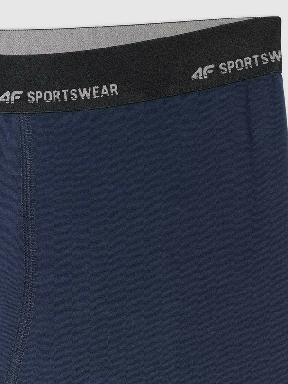 4F Pánske boxerky 4F Falcon (2pack)