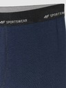 4F Pánske boxerky 4F Falcon (2pack)