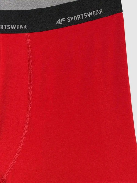 4F Pánske boxerky 4F Falcon (2pack)