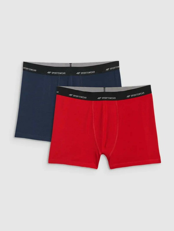 4F Pánske boxerky 4F Falcon (2pack)