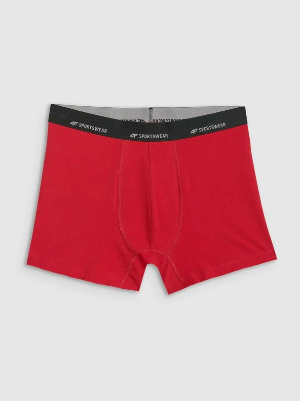 4F Pánske boxerky 4F Falcon (2pack)