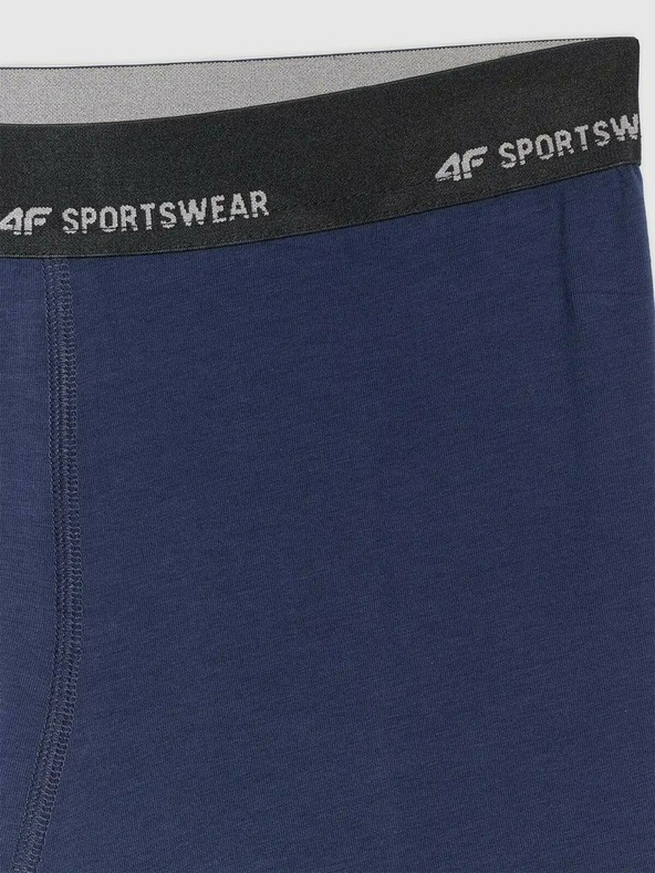4F Pánske boxerky 4F Falcon (2pack)