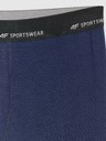 4F Pánske boxerky 4F Falcon (2pack)