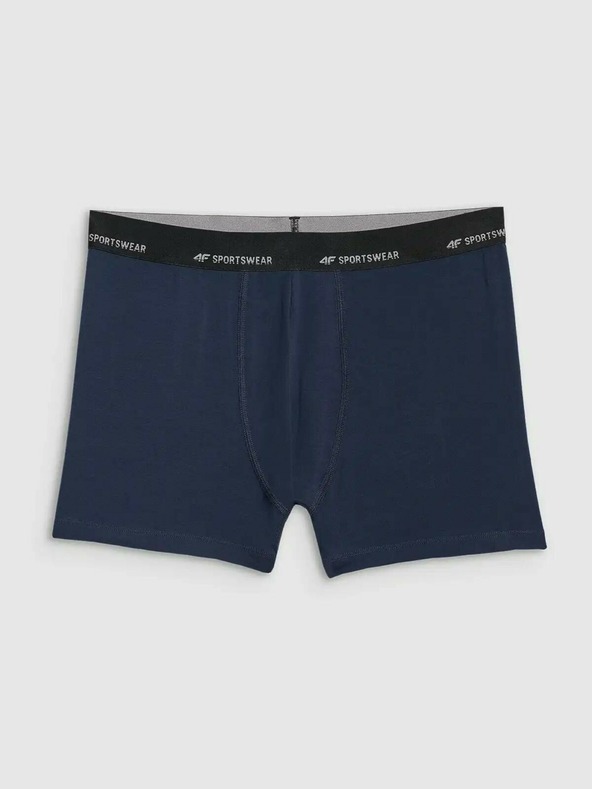 4F Pánske boxerky 4F Falcon (2pack)