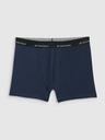 4F Pánske boxerky 4F Falcon (2pack)