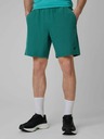 4F Pánske šortky 4F Batan