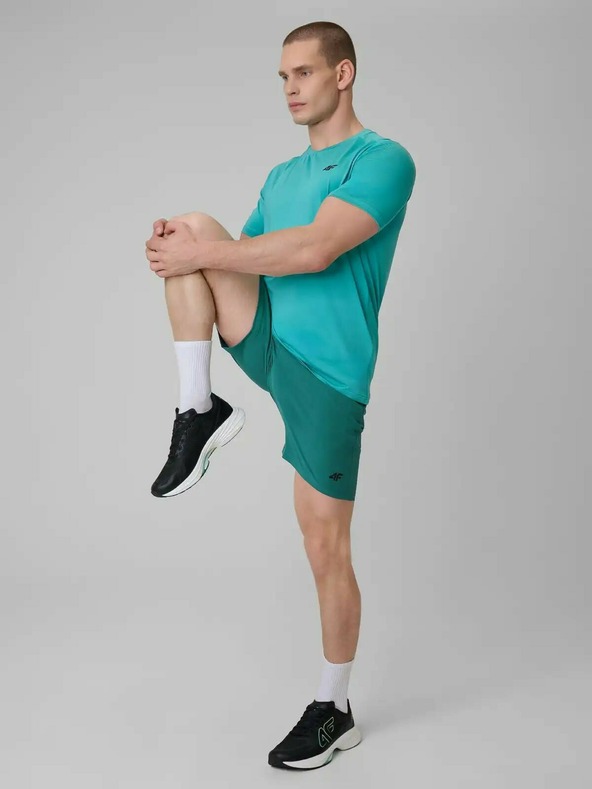 4F Pánske šortky 4F Batan