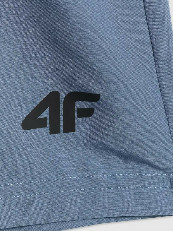 4F Pánske šortky 4F Batan
