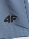 4F Pánske šortky 4F Batan