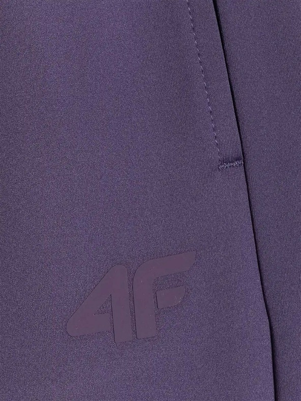 4F Dámske tepláky 4F FNK Jumper