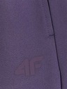 4F Dámske tepláky 4F FNK Jumper