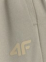 4F Dámske tepláky 4F FNK Jumper