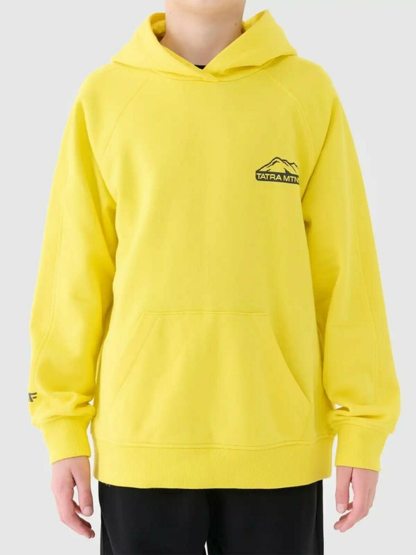 4F Chlapčenská mikina 4F