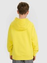 4F Chlapčenská mikina 4F