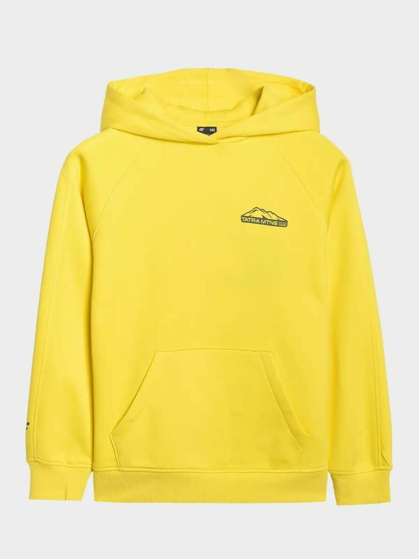 4F Chlapčenská mikina 4F