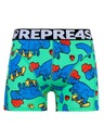 Represent Pánske trenky EXCLUSIVE SPORT SKATING T-REX