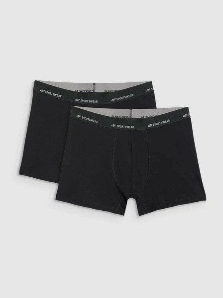 4F Pánske boxerky 4F Falcon (2pack)