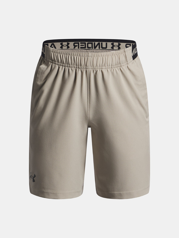 Under Armour Chlapčenské kraťasy Under Armour UA Vanish Shorts-BRN