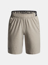 Under Armour Chlapčenské kraťasy Under Armour UA Vanish Shorts-BRN