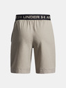 Under Armour Chlapčenské kraťasy Under Armour UA Vanish Shorts-BRN