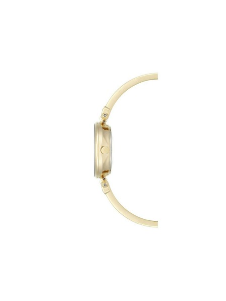 Anne Klein Zlaté dámske hodinky Anne Klein