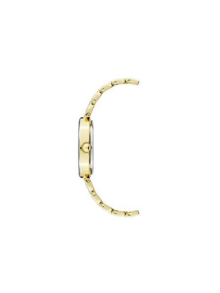 Anne Klein Zlaté dámske hodinky Anne Klein
