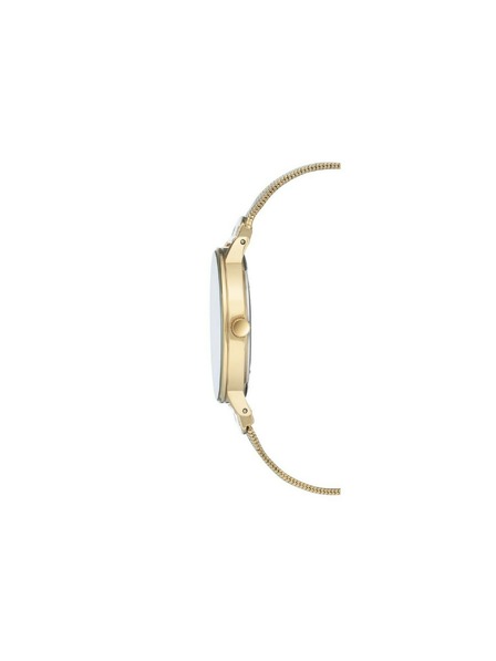 Anne Klein Zlaté dámske hodinky Anne Klein
