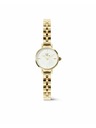 Daniel Wellington Daniel Wellington dámske hodinky Petite Mini Arch 3-Link DW00100855