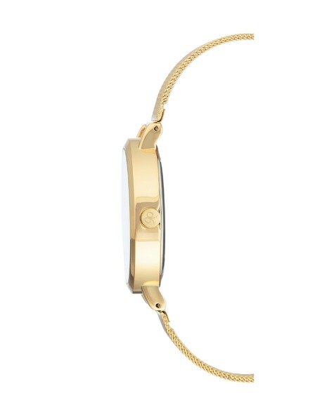 Nine West	 Nine West hodinky NW/2146CHGP