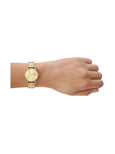 Skagen Dámske okrúhle hodinky Skagen Signatur Lille SKW3124