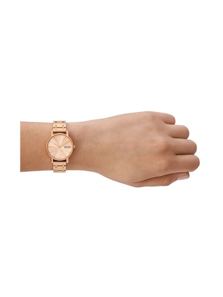 Skagen Dámske okrúhle hodinky Skagen Signatur Lille SKW3125