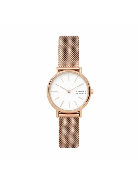 Skagen Dámske hodinky Skagen Signatur Lille Mesh SKW2694