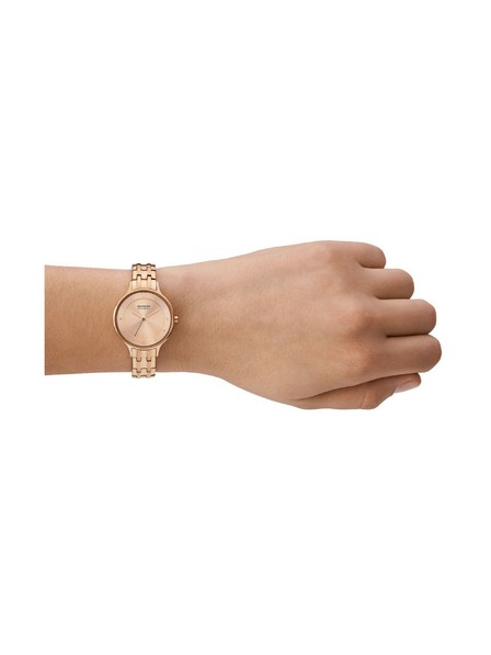 Skagen Dámske okrúhle hodinky Skagen Anita Lille SKW3128