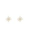 Daniel Wellington Dámske oceľové náušnice Daniel Wellington Mirelle Star DW00401611