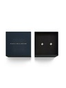 Daniel Wellington Dámske oceľové náušnice Daniel Wellington Mirelle Star DW00401611