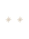 Daniel Wellington Dámske oceľové náušnice Daniel Wellington Mirelle Star DW00401612
