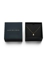 Daniel Wellington Dámsky pozlátený náhrdelník Daniel Wellington DW00401959