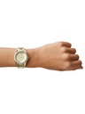 Fossil Riley Hodinky