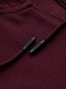 Ombre Clothing Pánska bavlnená mikina BASIC so zipsom Ombre Clothing