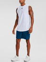 Under Armour Pánske kraťasy Under Armour Woven Graphic Shorts