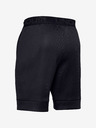 Under Armour Pánske kraťasy Under Armour Move Shorts