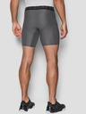 Under Armour Pánske kraťasy Under Armour HG 2.0 Comp Short