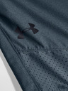 Under Armour Pánske kraťasy Under Armour Vanish Woven Shorts
