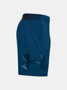 Under Armour Pánske kraťasy Under Armour Vanish Woven Graphic Sts