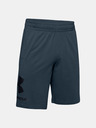 Under Armour Pánske kraťasy Under Armour COTTON BIG LOGO SHORTS