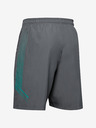 Under Armour Pánske kraťasy Under Armour Woven Graphic Shorts