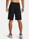 Under Armour Pánske kraťasy Under Armour UA Raid 2.0 Shorts