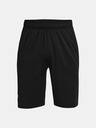Under Armour Pánske kraťasy Under Armour UA Raid 2.0 Shorts